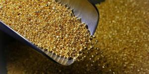 الذهب
      يسجل
      أعلى
      مستوياته
      في
      أسبوعين
      وسط
      رهانات
      خفض
      الفائدة
