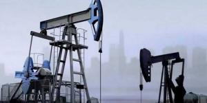 انخفاض
      أسعار
      النفط
      في
      نهاية
      تعاملات
      الاثنين