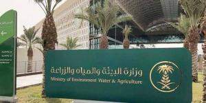"البيئة"
      تطرح
      مشروعين
      لتصنيع
      الأسمدة
      الزراعية
      على
      مساحة
      128
      ألف
      م²
      بالجبيل