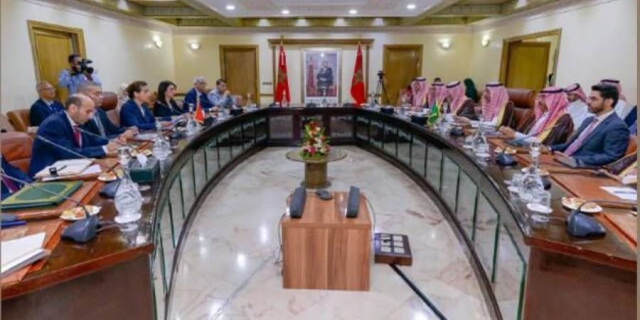 المملكة
      والمغرب
      تناقشان
      تعزيز
      التعاون
      في
      مجالات
      أبرزها
      التعدين