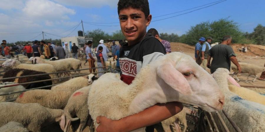 صدمة
      من
      "الأرصاد
      الجوية"
      بخصوص
      طقس
      عيد
      الأضحى