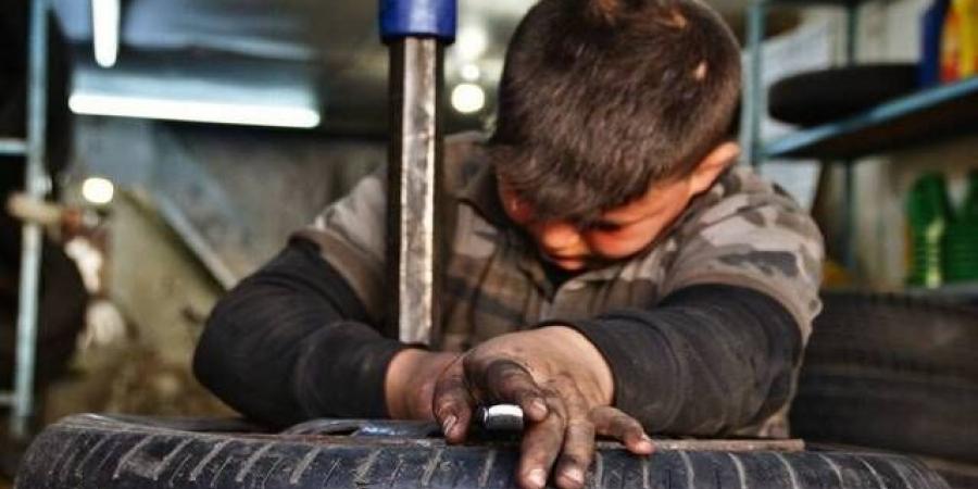 بيان
      عربي
      مشترك
      يدعو
      لاتخاذ
      إجراءات
      فورية
      وفعالة
      للحَدِّ
      من
      عمل
      الأطفال